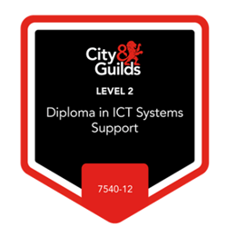 City and Guilds Level 2 Diploma